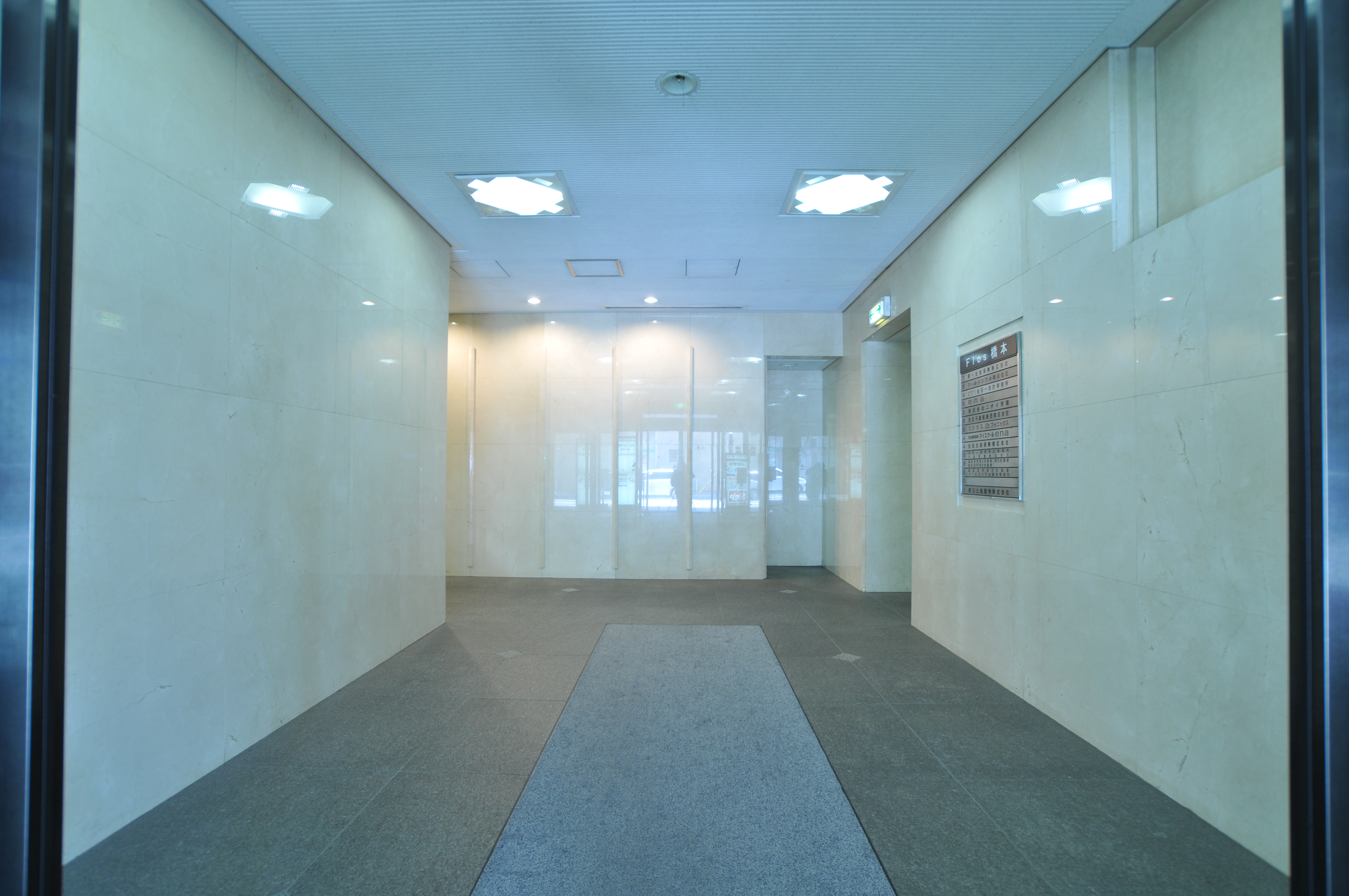 flos-hashimoto