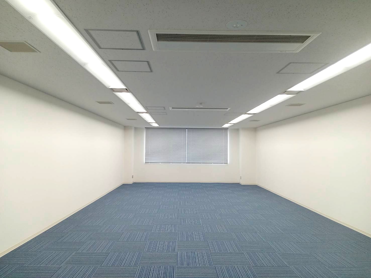 flos-hashimoto