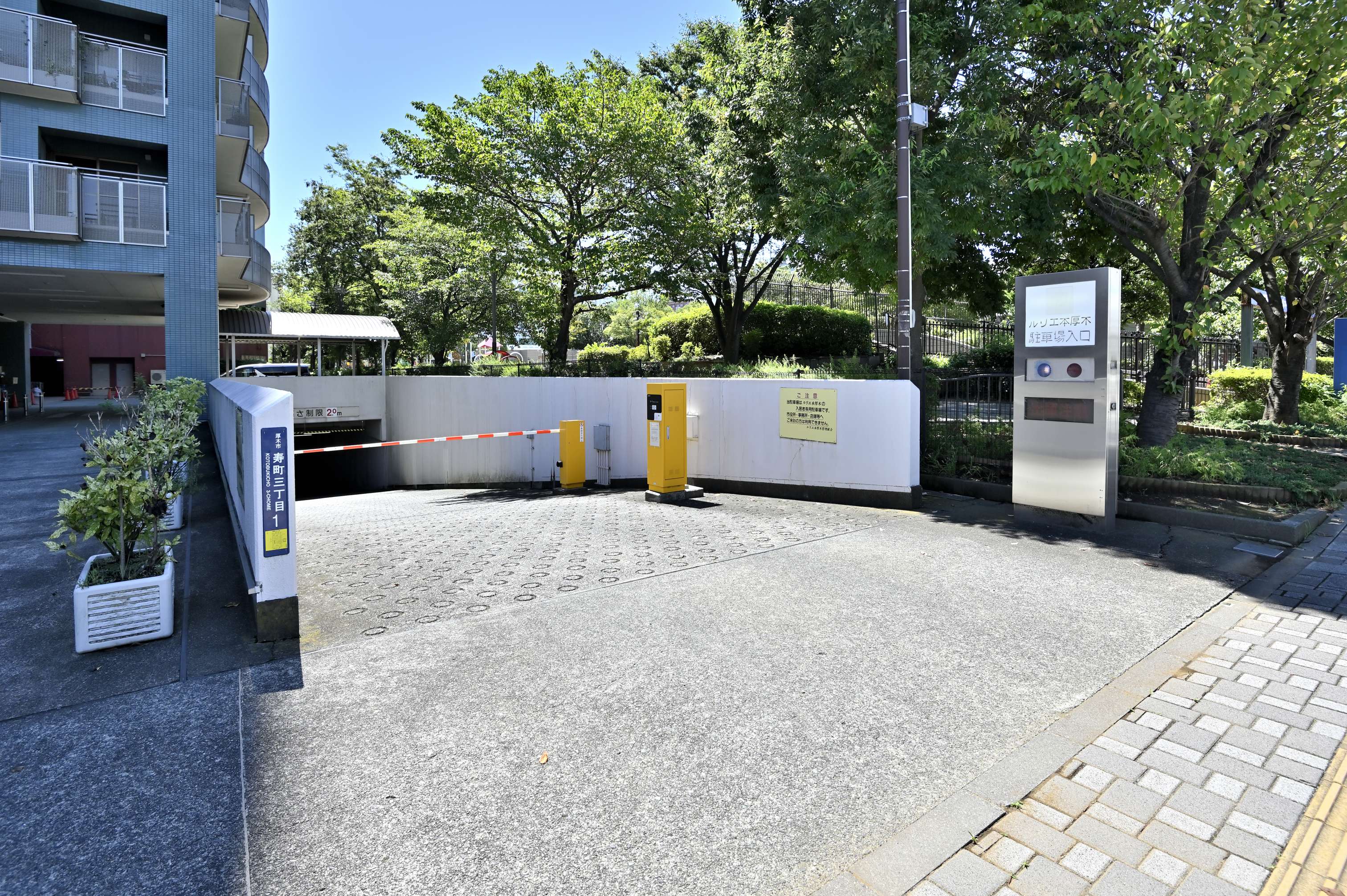 rurie-honatsugi