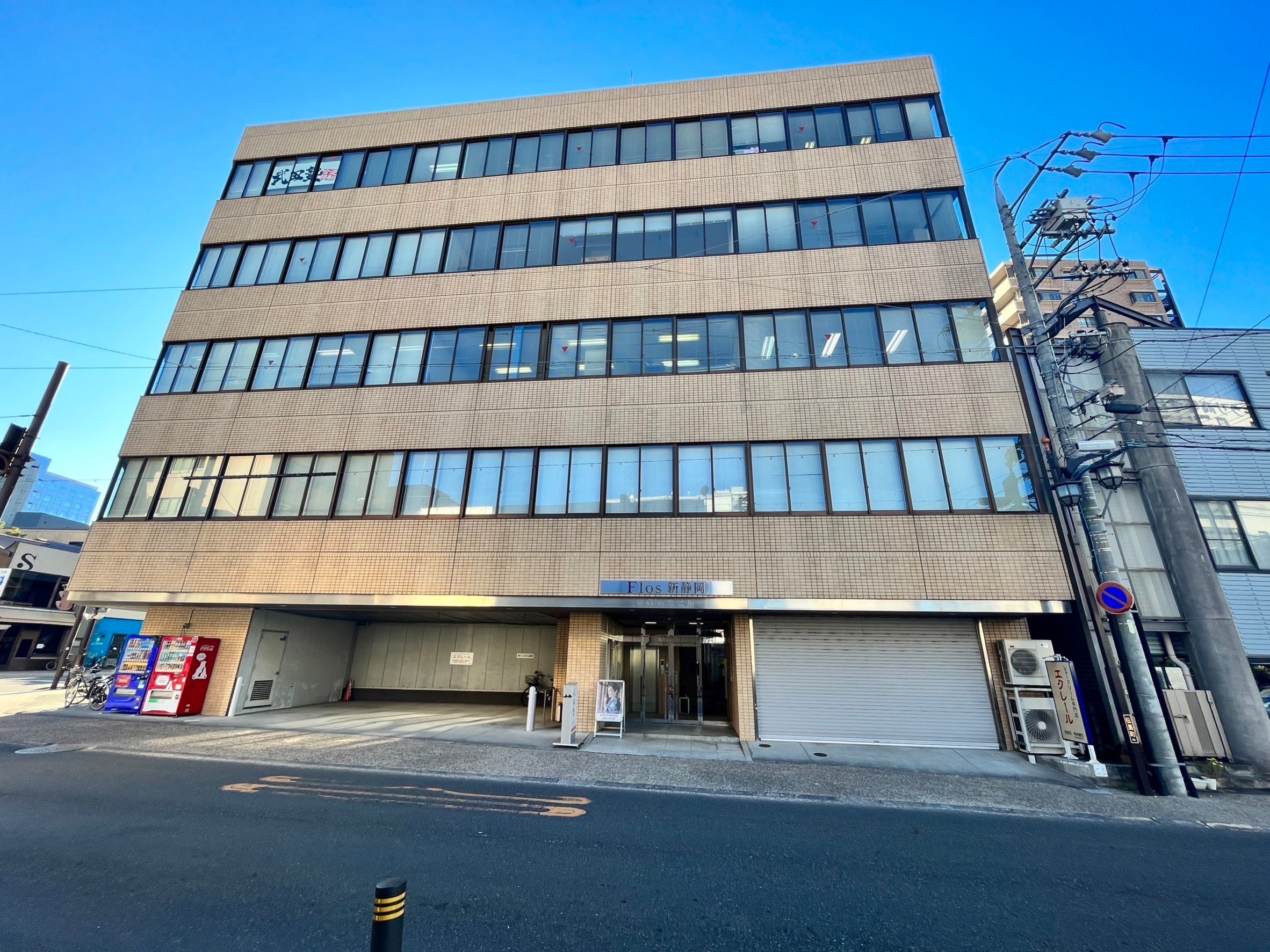 flos-shinshizuoka