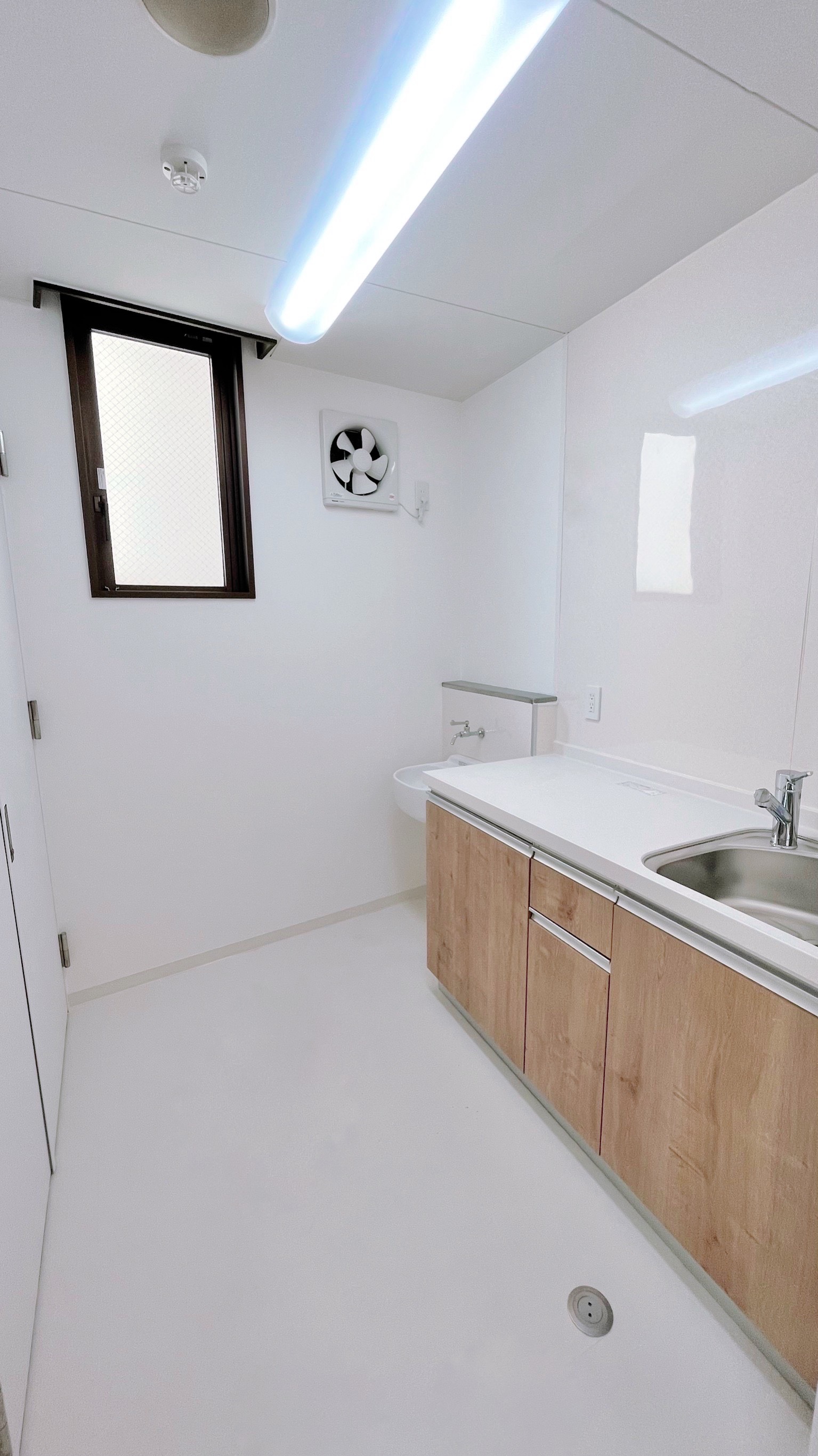 flos-shinshizuoka