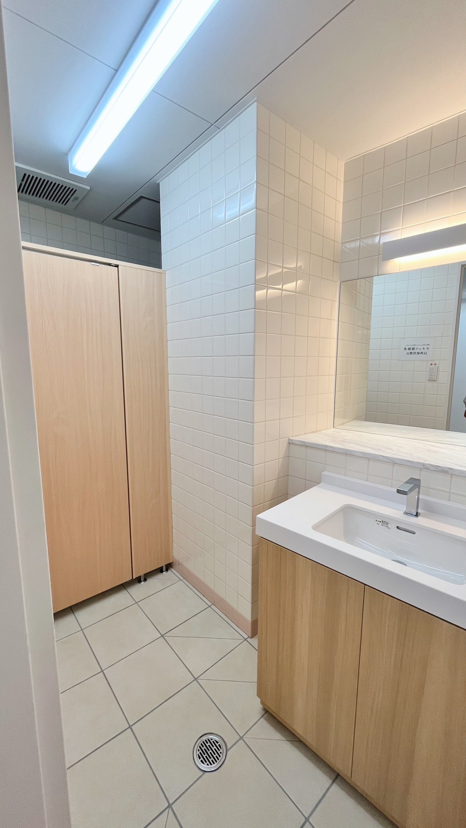 flos-shinshizuoka