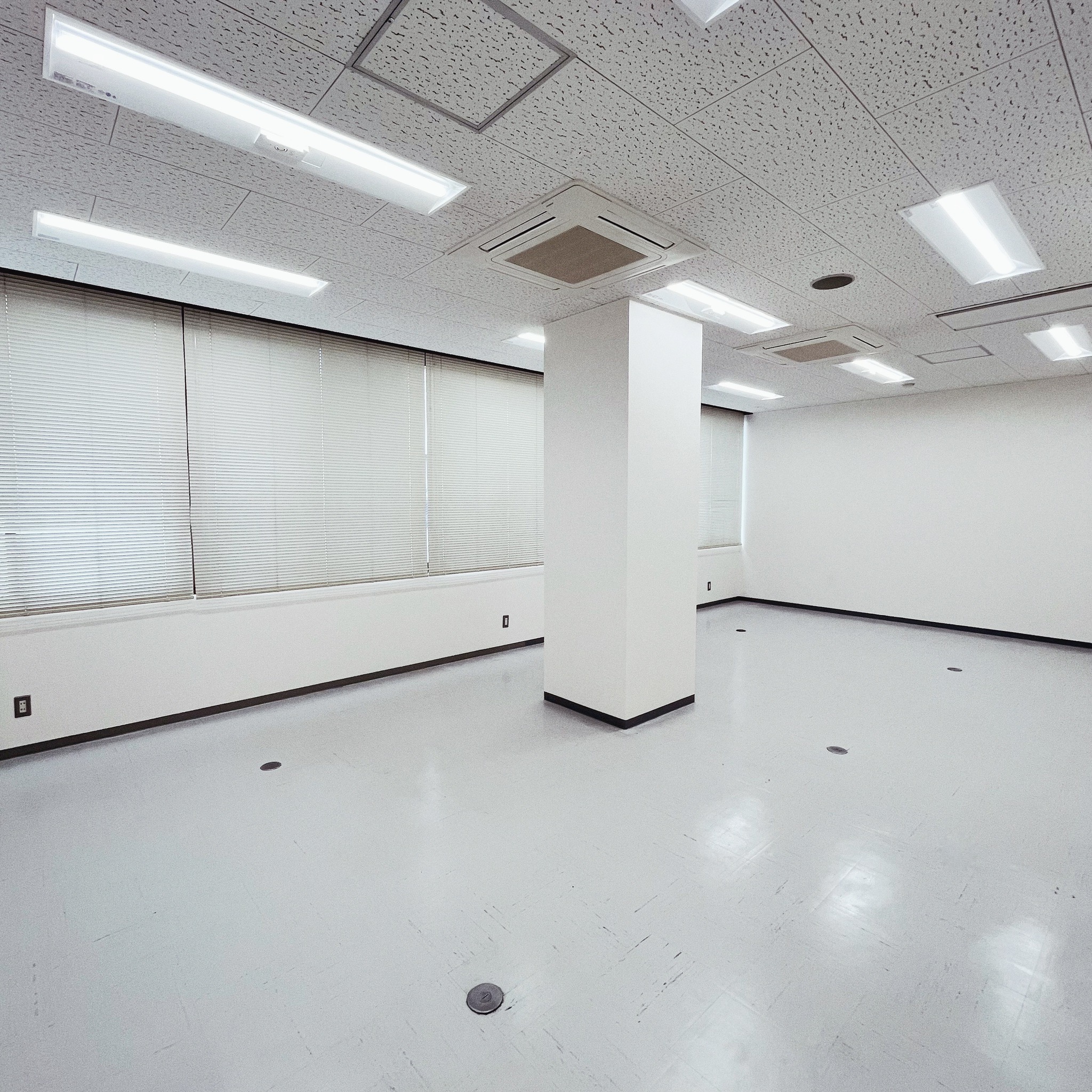 flos-shinshizuoka