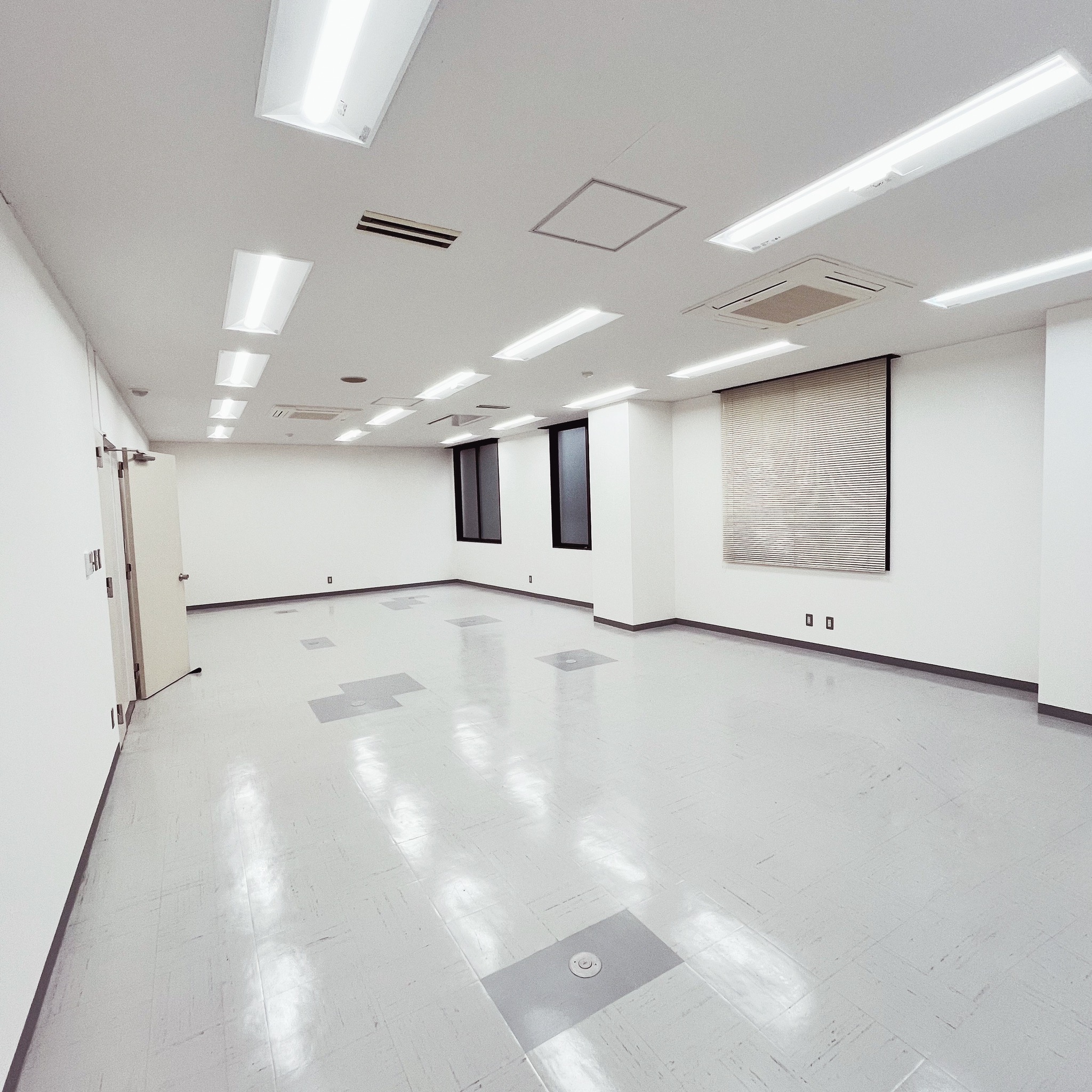 flos-shinshizuoka