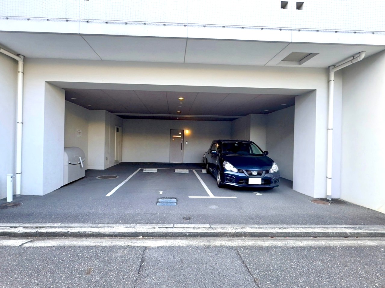 flos-shizuokahondori