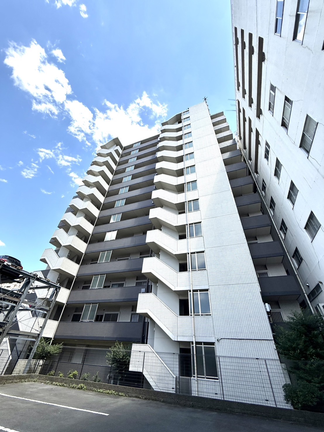 flos-takasaki