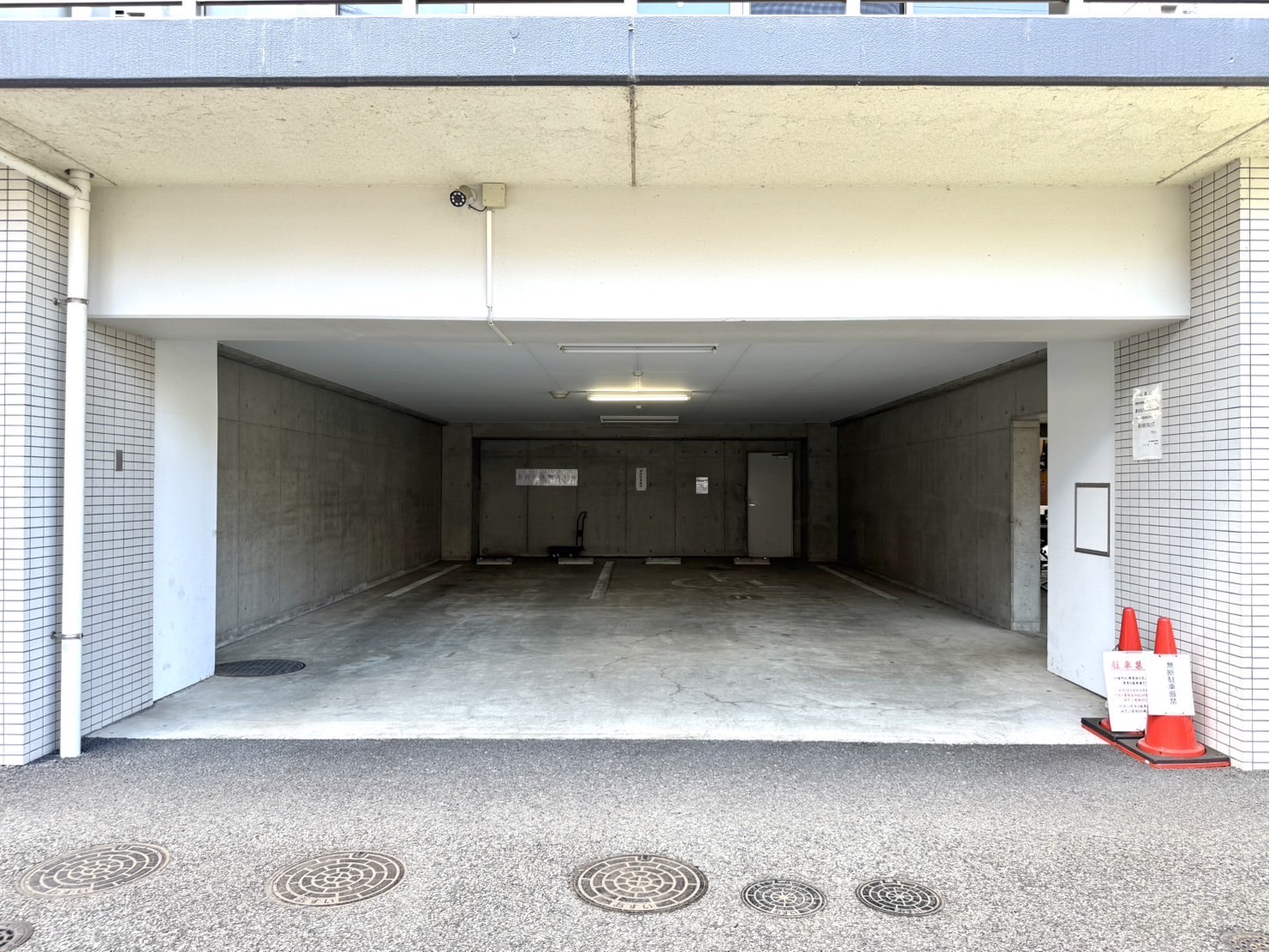 flos-takasaki