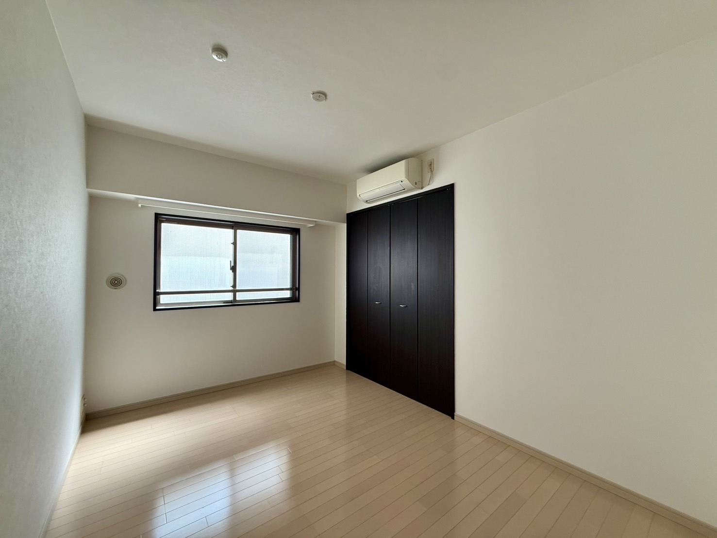 flos-takasaki